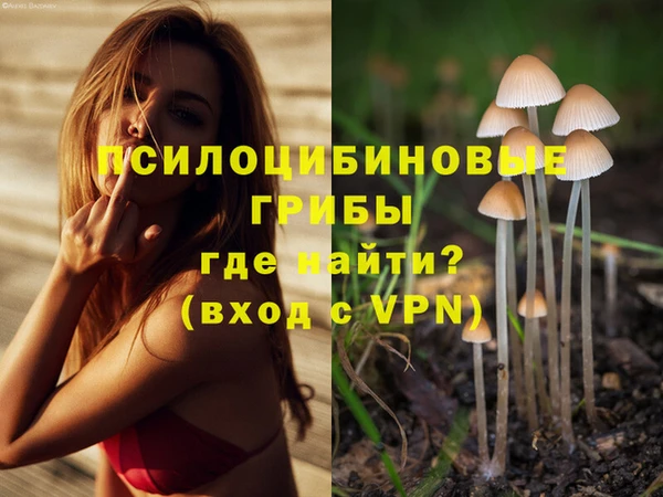 прущий лед Касимов