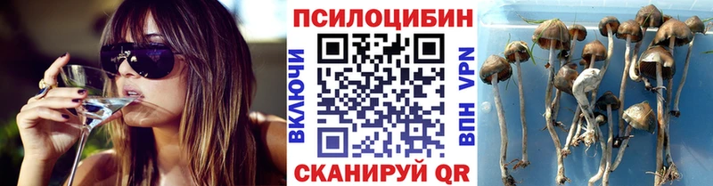 Галлюциногенные грибы Cubensis  цена   это состав  Лермонтов 